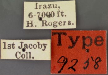 Media type: image; Entomology 9258   Aspect: labels